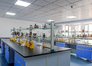 氫能源實(shí)驗(yàn)室氣體檢測(cè)案例